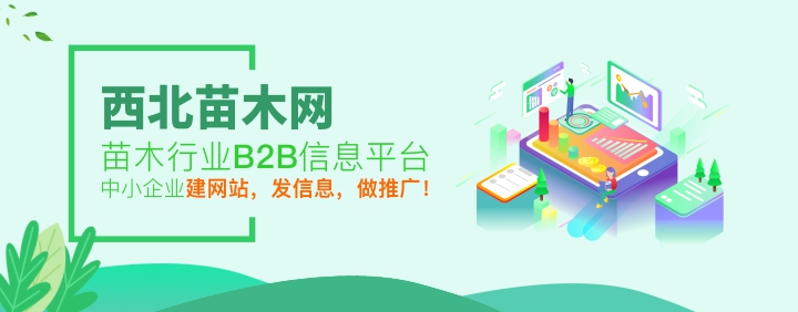 西北苗木網